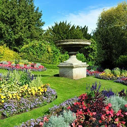 Attractive Gardening Services in Ilford, IG2
